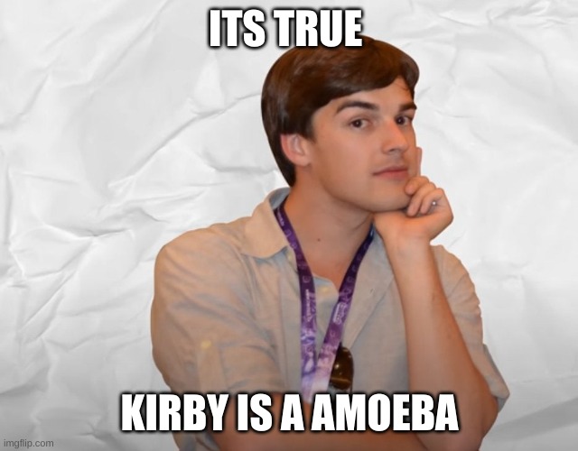 Respectable Theory | ITS TRUE KIRBY IS A AMOEBA | image tagged in respectable theory | made w/ Imgflip meme maker