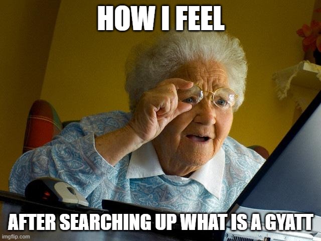 Grandma Finds The Internet | HOW I FEEL; AFTER SEARCHING UP WHAT IS A GYATT | image tagged in memes,grandma finds the internet | made w/ Imgflip meme maker