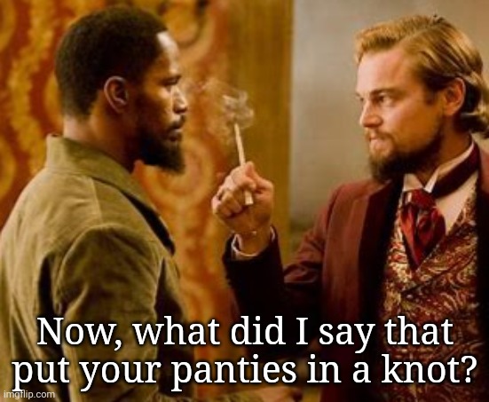 Panties in a knot | Now, what did I say that put your panties in a knot? | image tagged in panties in a knot | made w/ Imgflip meme maker