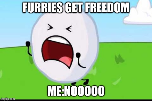 BFDI Snowball NOOOOO | FURRIES GET FREEDOM; ME:NOOOOO | image tagged in bfdi snowball nooooo | made w/ Imgflip meme maker