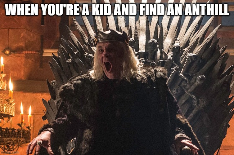 The Mad King Anthill | WHEN YOU'RE A KID AND FIND AN ANTHILL | image tagged in the mad king,game of thrones,fire | made w/ Imgflip meme maker