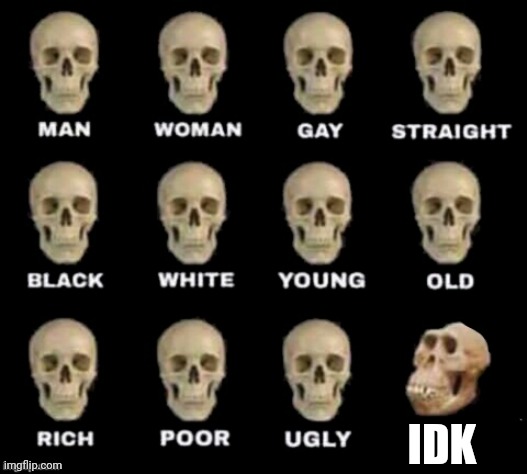 idiot skull | IDK; THEY WERE THIS LAZY TO NOT REMOVE THE SECIND TEXT BRO | image tagged in idiot skull | made w/ Imgflip meme maker