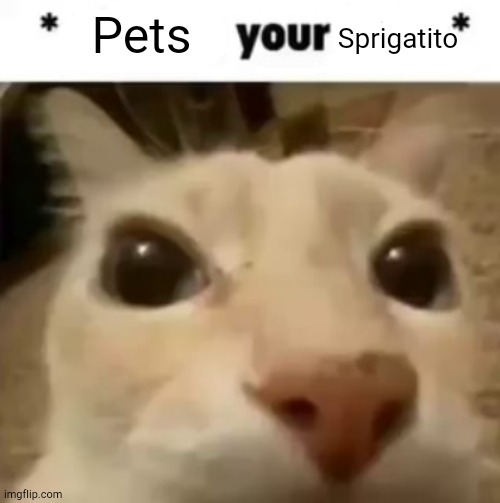 X your balls | Pets; Sprigatito | image tagged in x your balls | made w/ Imgflip meme maker