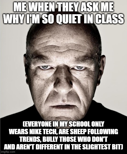 I hate my classmates | ME WHEN THEY ASK ME WHY I'M SO QUIET IN CLASS; (EVERYONE IN MY SCHOOL ONLY WEARS NIKE TECH, ARE SHEEP FOLLOWING TRENDS, BULLY THOSE WHO DON'T AND AREN'T DIFFERENT IN THE SLIGHTEST BIT) | image tagged in hank frowning,memes,relatable,school sucks,classmates | made w/ Imgflip meme maker