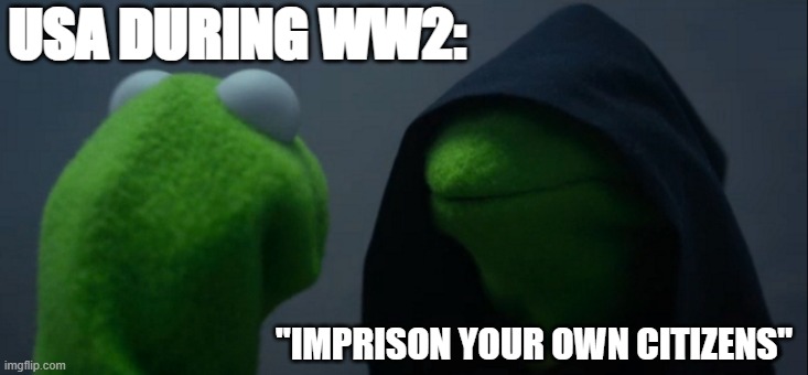 Evil Kermit Meme | USA DURING WW2:; "IMPRISON YOUR OWN CITIZENS" | image tagged in memes,evil kermit | made w/ Imgflip meme maker