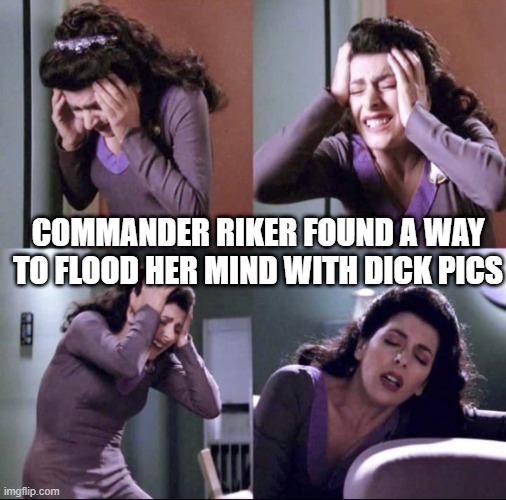 Naughty Riker | COMMANDER RIKER FOUND A WAY TO FLOOD HER MIND WITH DICK PICS | image tagged in deanna troi suffering | made w/ Imgflip meme maker