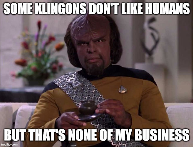 None of My Business | SOME KLINGONS DON'T LIKE HUMANS; BUT THAT'S NONE OF MY BUSINESS | image tagged in dignified worf | made w/ Imgflip meme maker