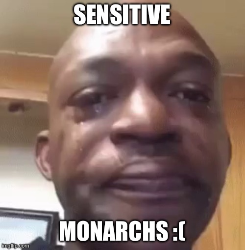 sad man | SENSITIVE MONARCHS :( | image tagged in sad man | made w/ Imgflip meme maker