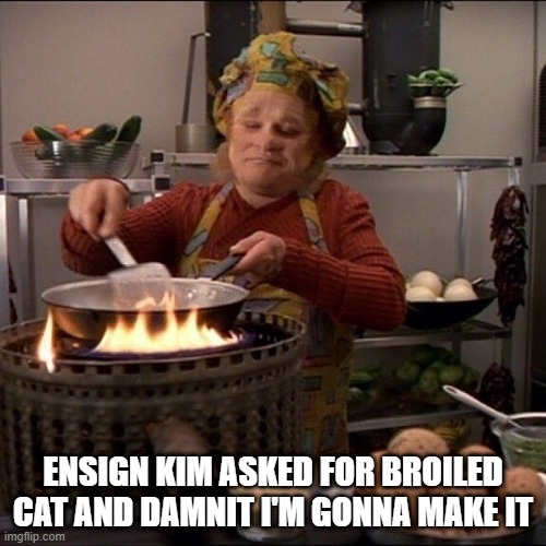 Hungry Kim | ENSIGN KIM ASKED FOR BROILED CAT AND DAMNIT I'M GONNA MAKE IT | image tagged in neelix cooking | made w/ Imgflip meme maker