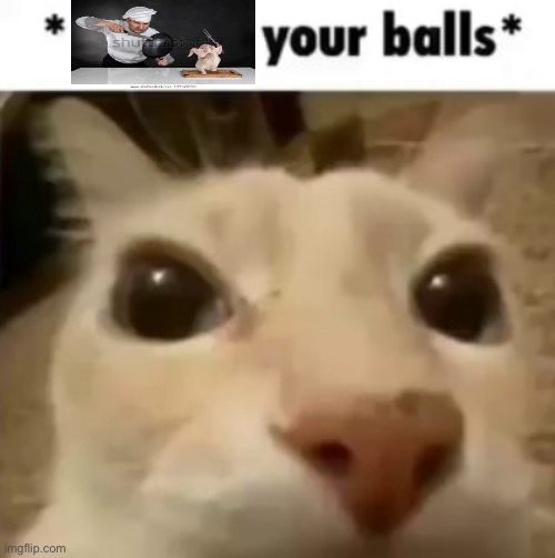 . | image tagged in x your balls | made w/ Imgflip meme maker