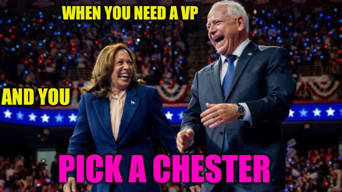 Chester the Jester | WHEN YOU NEED A VP; AND YOU; PICK A CHESTER | image tagged in weird,weirdo,political meme,creepy,vice president,elections | made w/ Imgflip meme maker