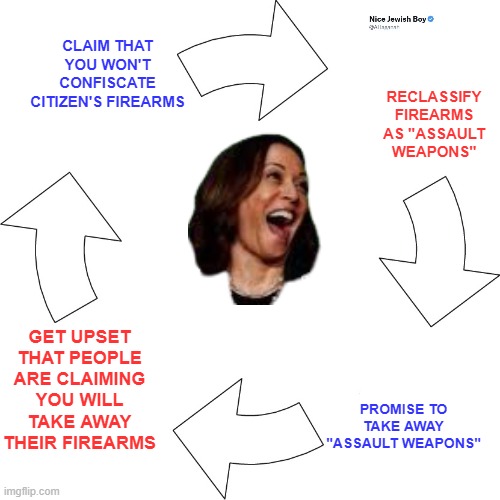 Disarming the innocent to protect the criminal, to create instability | CLAIM THAT YOU WON'T CONFISCATE CITIZEN'S FIREARMS; RECLASSIFY FIREARMS AS "ASSAULT WEAPONS"; GET UPSET THAT PEOPLE ARE CLAIMING YOU WILL TAKE AWAY THEIR FIREARMS; PROMISE TO TAKE AWAY "ASSAULT WEAPONS" | image tagged in vicious cycle,2a,rkba,gun control | made w/ Imgflip meme maker