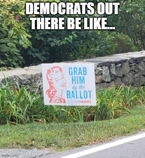 Grab the Ballot | DEMOCRATS OUT THERE BE LIKE... | image tagged in politics,election | made w/ Imgflip meme maker