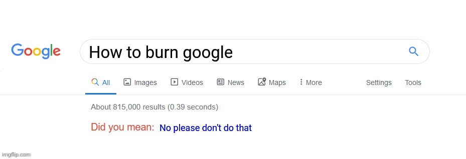 No please don't do that | How to burn google; No please don't do that | image tagged in did you mean,google,no god no god please no,please,oh no | made w/ Imgflip meme maker