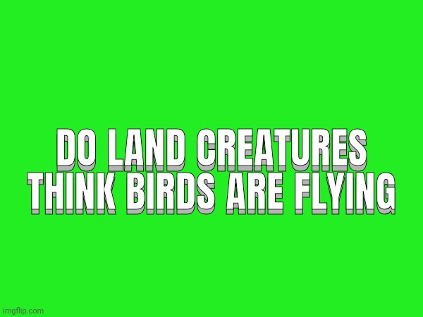 Or do they know that birds swim in air? | DO LAND CREATURES THINK BIRDS ARE FLYING; DO LAND CREATURES THINK BIRDS ARE FLYING | made w/ Imgflip meme maker