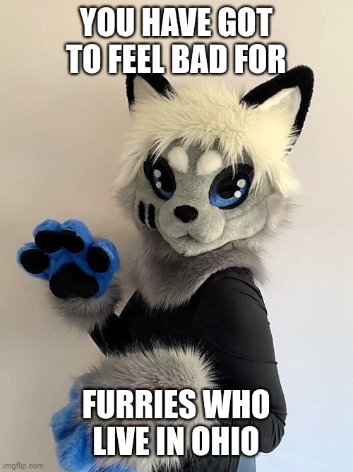 YOU HAVE GOT TO FEEL BAD FOR; FURRIES WHO LIVE IN OHIO | made w/ Imgflip meme maker