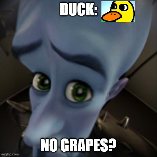 Megamind peeking | DUCK:; NO GRAPES? | image tagged in megamind peeking | made w/ Imgflip meme maker