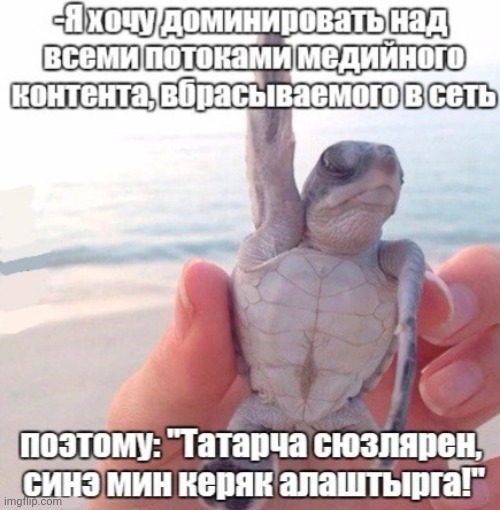 -The only one. | image tagged in foreign policy,the russians did it,i like turtles,mind control,i want you for us army,day at the beach | made w/ Imgflip meme maker