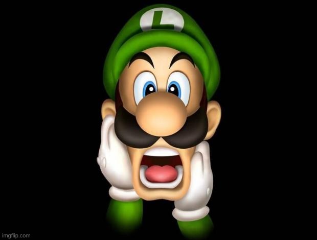 WTF Luigi | image tagged in wtf luigi | made w/ Imgflip meme maker