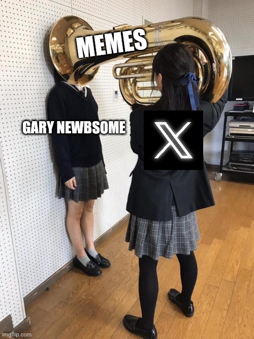 Gavin newsletter California wanker | MEMES; GARY NEWBSOME | image tagged in girl putting tuba on girl's head | made w/ Imgflip meme maker