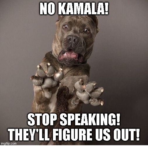 NO KAMALA! STOP SPEAKING!
THEY'LL FIGURE US OUT! | image tagged in sarcastic dog | made w/ Imgflip meme maker