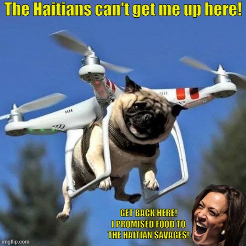 Not this time Kommie-la! | The Haitians can't get me up here! GET BACK HERE! I PROMISED FOOD TO THE HAITIAN SAVAGES! | image tagged in flying pug,pugs,haiti,haitians,savages,pet eaters | made w/ Imgflip meme maker