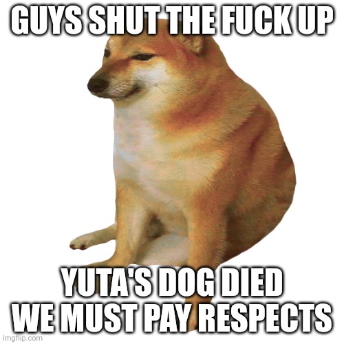 momenf of silencio sil vou plait | GUYS SHUT THE FUCK UP; YUTA'S DOG DIED WE MUST PAY RESPECTS | image tagged in cheems | made w/ Imgflip meme maker