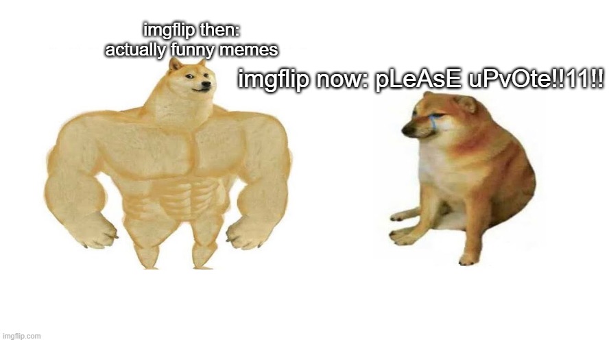 dog then now | imgflip then:
actually funny memes; imgflip now: pLeAsE uPvOte!!11!! | image tagged in dog then now | made w/ Imgflip meme maker