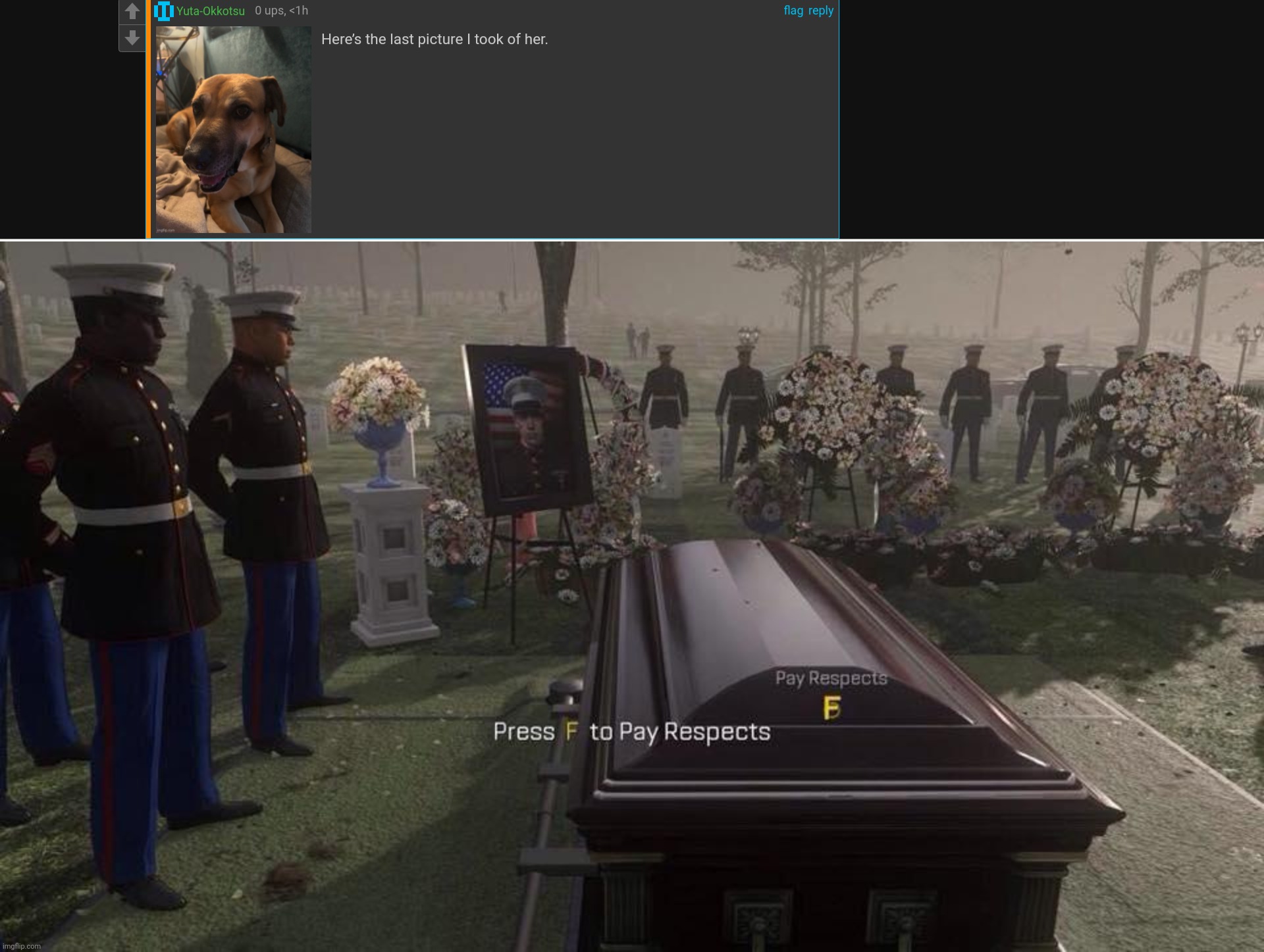 image tagged in press f to pay respects | made w/ Imgflip meme maker