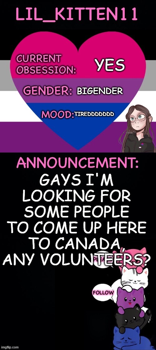 Lil_kitten11's announcement temp | YES; BIGENDER; TIREDDDDDDD; GAYS I'M LOOKING FOR SOME PEOPLE TO COME UP HERE TO CANADA, ANY VOLUNTEERS? | image tagged in lil_kitten11's announcement temp | made w/ Imgflip meme maker