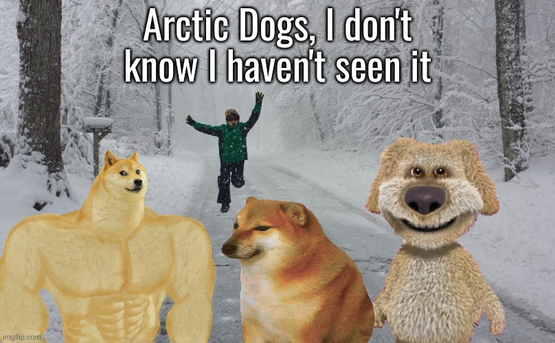 Snow day | Arctic Dogs, I don't know I haven't seen it | image tagged in snow day,memes,shitpost,movie,cartoon | made w/ Imgflip meme maker