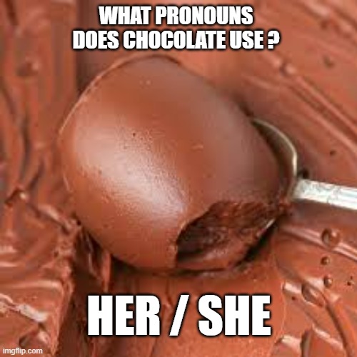 memes by Brad - What pronouns does chocolate use? - humor - | WHAT PRONOUNS DOES CHOCOLATE USE ? HER / SHE | image tagged in funny,fun,chocolate,pronouns,humor,play on words | made w/ Imgflip meme maker