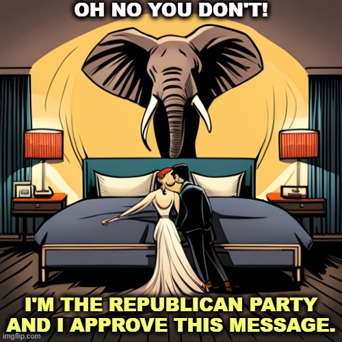 OH NO YOU DON'T! I'M THE REPUBLICAN PARTY AND I APPROVE THIS MESSAGE. | image tagged in republican party,elephant,couple,women,love,health | made w/ Imgflip meme maker