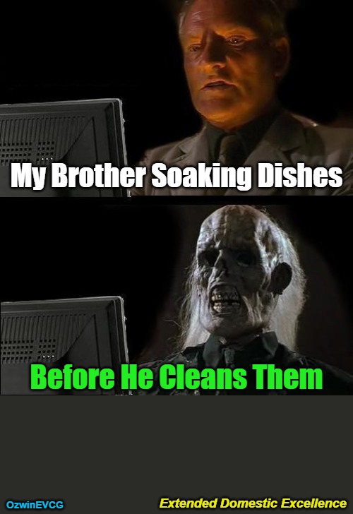 Extended Domestic Excellence | My Brother Soaking Dishes; Before He Cleans Them; Extended Domestic Excellence; OzwinEVCG | image tagged in memes,i'll just wait here,domestic excellence,family life,flashback,siblings | made w/ Imgflip meme maker