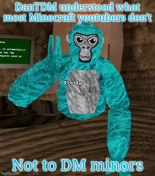 Monkey | DanTDM understood what most Minecraft youtubers don't; Not to DM minors | image tagged in monkey | made w/ Imgflip meme maker