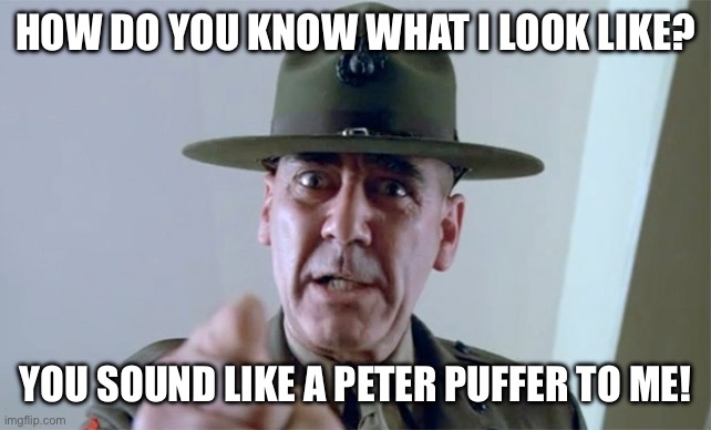 R. Lee Ermy  | HOW DO YOU KNOW WHAT I LOOK LIKE? YOU SOUND LIKE A PETER PUFFER TO ME! | image tagged in r lee ermy | made w/ Imgflip meme maker