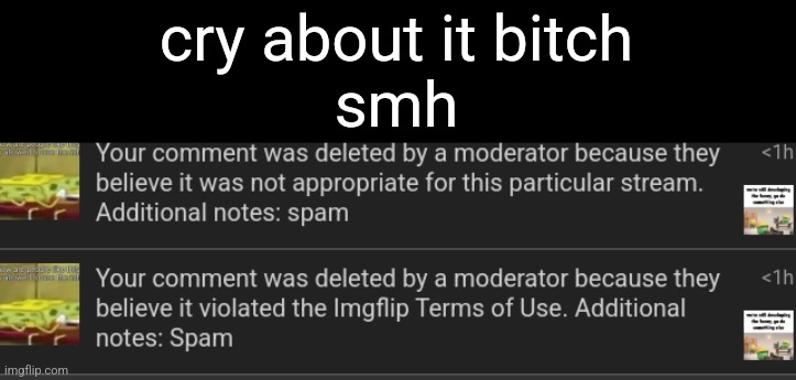 cry about it bitch
smh | made w/ Imgflip meme maker