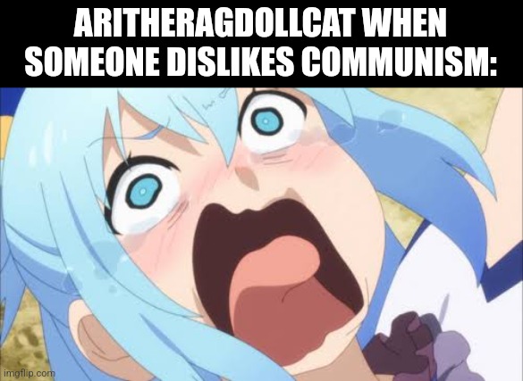 Aqua crying/screaming | ARITHERAGDOLLCAT WHEN SOMEONE DISLIKES COMMUNISM: | image tagged in aqua crying/screaming | made w/ Imgflip meme maker