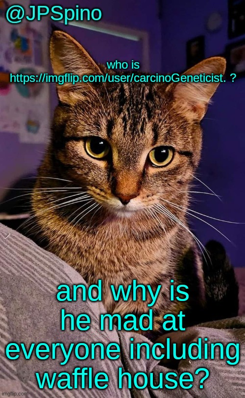 JPSpino's cat temp | who is https://imgflip.com/user/carcinoGeneticist. ? and why is he mad at everyone including waffle house? | image tagged in jpspino's cat temp | made w/ Imgflip meme maker