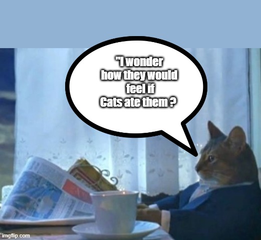 Wheres PETA, deathly silent aren't they .. Wheres PETA someone call # PETAsavethecatsNow | "I wonder how they would  feel if Cats ate them ? | image tagged in memes,i should buy a boat cat | made w/ Imgflip meme maker