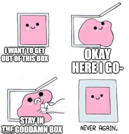 Never again | I WANT TO GET OUT OF THIS BOX; OKAY HERE I GO-; STAY IN THE GODDAMN BOX | image tagged in never again | made w/ Imgflip meme maker
