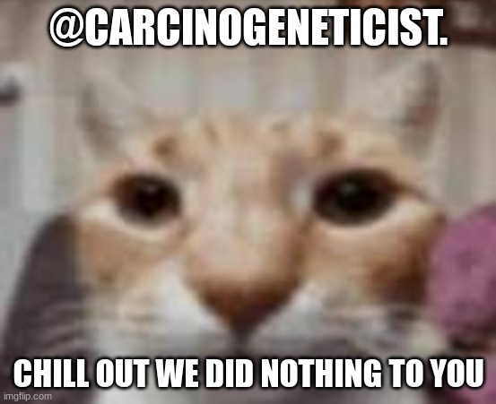 :| | @CARCINOGENETICIST. CHILL OUT WE DID NOTHING TO YOU | image tagged in yuh | made w/ Imgflip meme maker