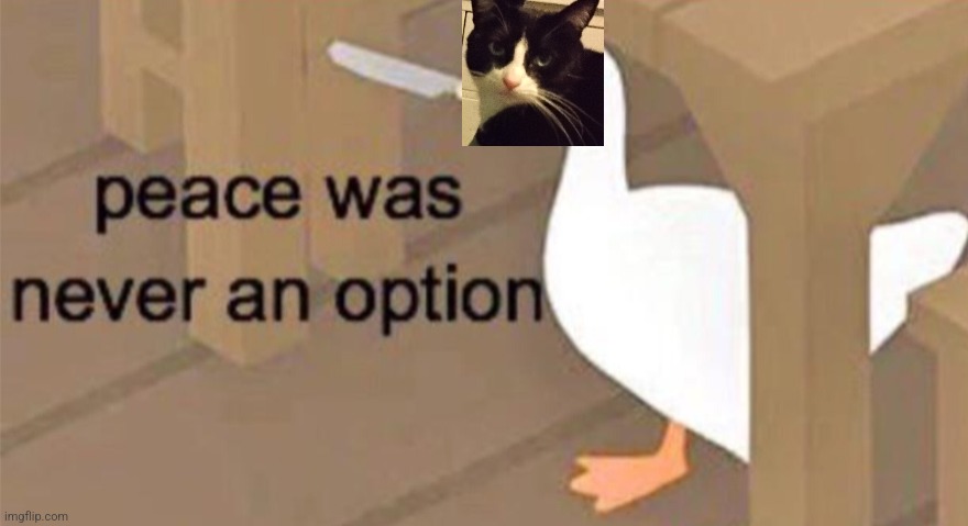 Untitled Goose Peace Was Never an Option | image tagged in untitled goose peace was never an option | made w/ Imgflip meme maker