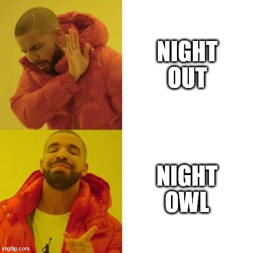 At one point in your life you just... | NIGHT OUT; NIGHT OWL | image tagged in drake no/yes | made w/ Imgflip meme maker