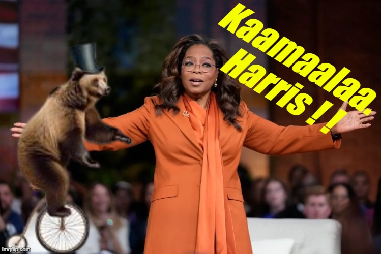 I'd of watched if I knew she was doing her act | Kaamaalaa.
Harris ! ! | image tagged in kamala on oprah meme | made w/ Imgflip meme maker