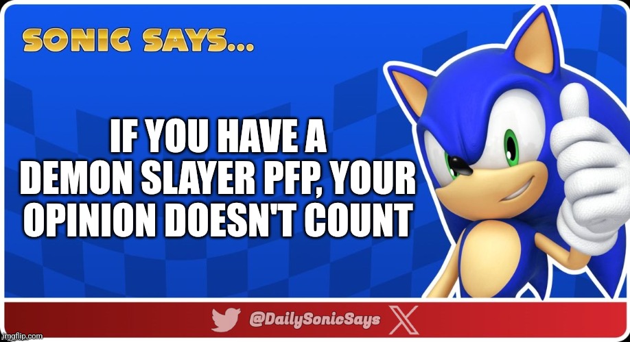 Sonic Says #44 | IF YOU HAVE A DEMON SLAYER PFP, YOUR OPINION DOESN'T COUNT | image tagged in sonic says v3 | made w/ Imgflip meme maker