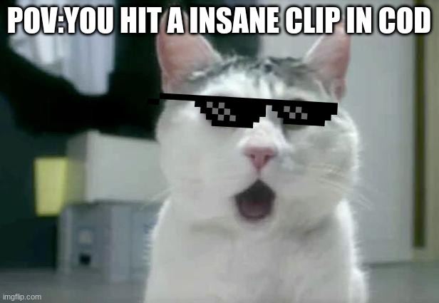 OMG Cat Meme | POV:YOU HIT A INSANE CLIP IN COD | image tagged in cod | made w/ Imgflip meme maker