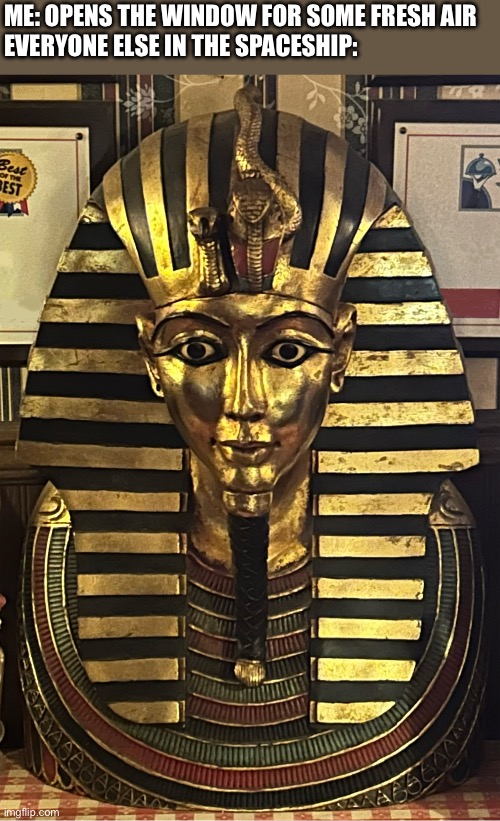 Fresh Air Pharaoh Statue | ME: OPENS THE WINDOW FOR SOME FRESH AIR
EVERYONE ELSE IN THE SPACESHIP: | image tagged in surprised pharaoh,uh oh,mummy,ancient egypt,statue,space | made w/ Imgflip meme maker