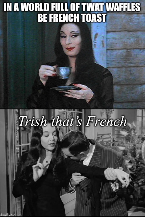 French Toast | IN A WORLD FULL OF TWAT WAFFLES
BE FRENCH TOAST; Trish that’s French | image tagged in morticia addams,french,twat,toast,gomez addams,kiss | made w/ Imgflip meme maker