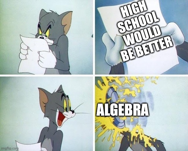 Tom and Jerry custard pie | HIGH SCHOOL WOULD BE BETTER; ALGEBRA | image tagged in tom and jerry custard pie | made w/ Imgflip meme maker